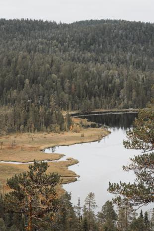 photos/angsjoen-lake-shoreline-2.jpg