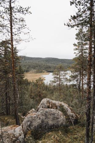 photos/angsjoen-lake-shoreline.jpg