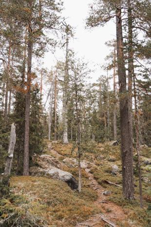 photos/bjoernlandet-national-park-hiking-trail.jpg