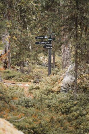 photos/trails-in-bjoernlandet-national-park.jpg