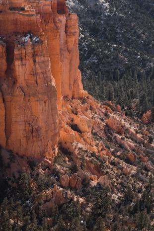 photos/bryce-canyon-cliff-forest.jpg