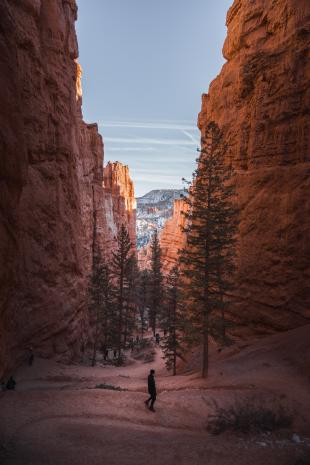 photos/bryce-canyon-trees-in-valley.jpg