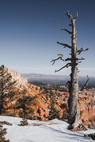 photos/bryce-canyon-winter-portrait.jpg
