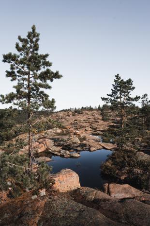 photos/skuleskogen-national-park-slattdalsberget.jpg