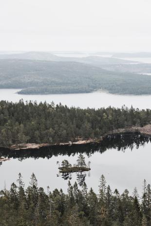 photos/skuleskogen-taernaettvattnen-lake-island.jpg