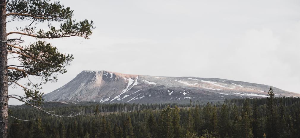 photos/5-sonfjaellet-mountain-national-park-landscape.jpg