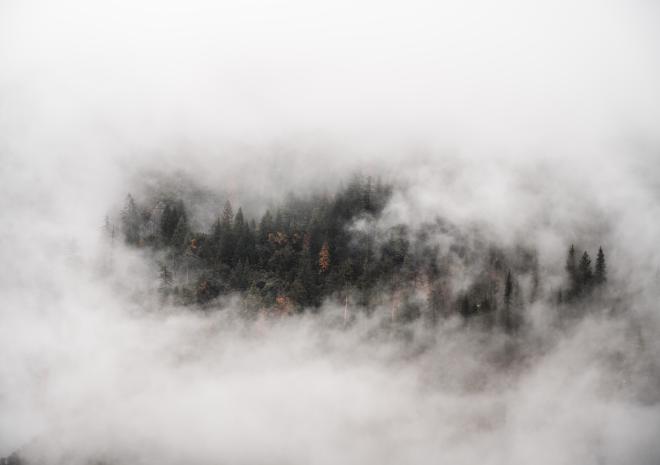 photos/yosemite-national-park-forest-fog.jpg