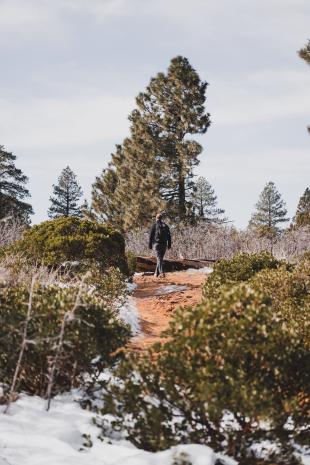 photos/zion-national-park-observeration-point-track-winter.jpg