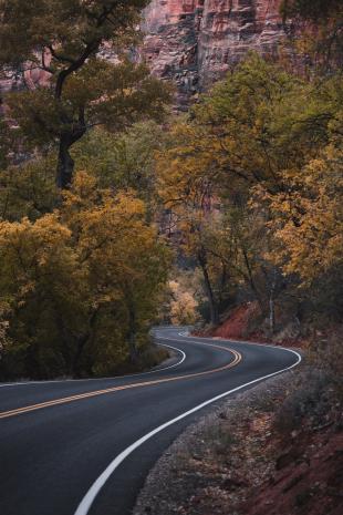 photos/zion-valley-road-trees.jpg